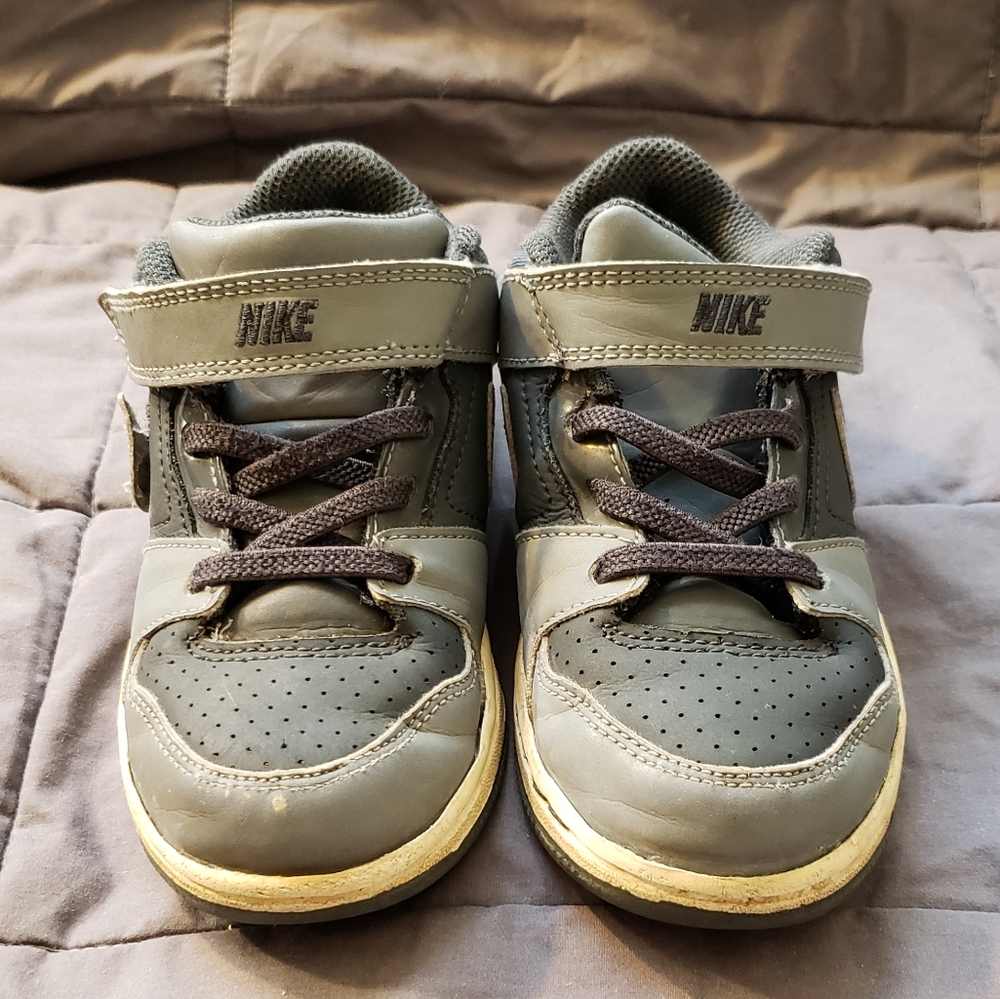 Nike Dunk kids